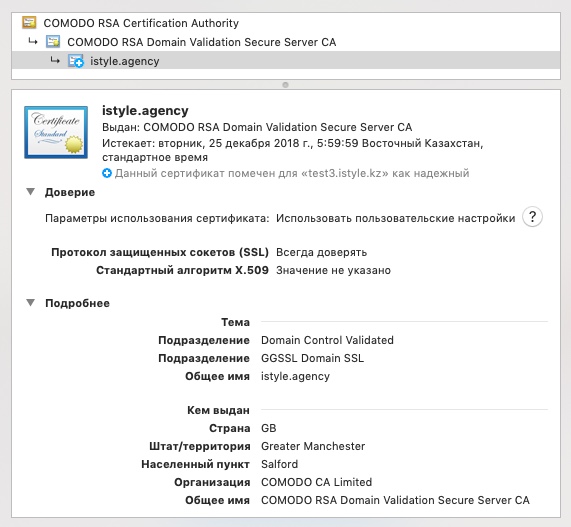 Пример установленного SSL сертификата в браузере