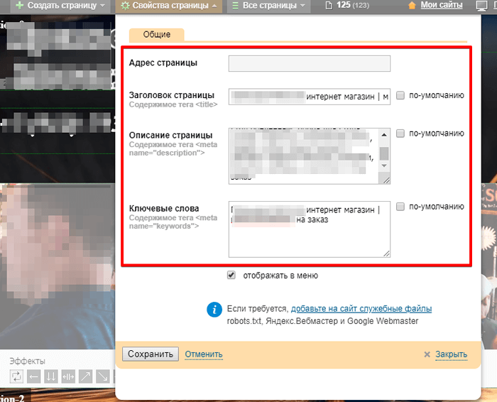 Конструктор сайтов Setup